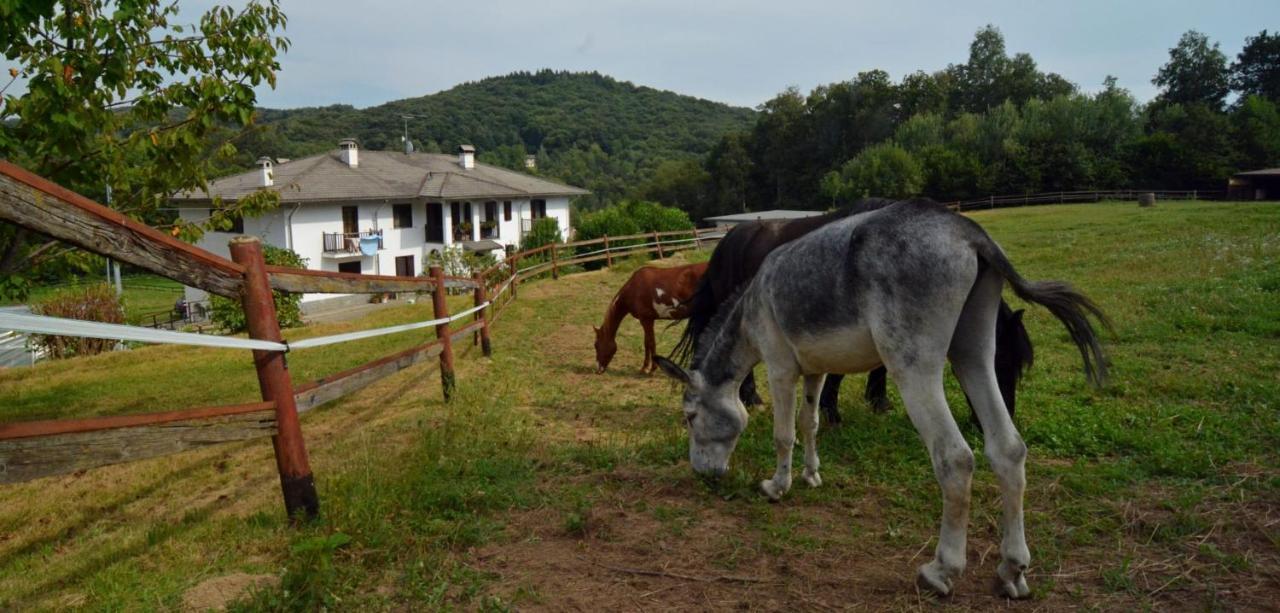 Favetto Family Ranch Bed & Breakfast Rueglio Ngoại thất bức ảnh